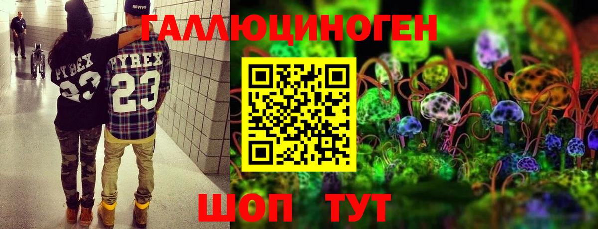 Кандалакша  Галлюциногенные грибы Psilocybe  Вход с VPN 